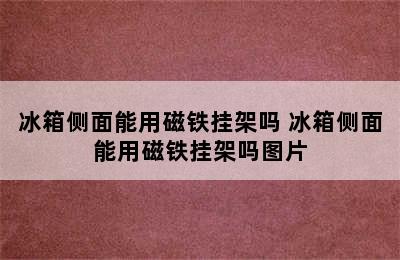 冰箱侧面能用磁铁挂架吗 冰箱侧面能用磁铁挂架吗图片